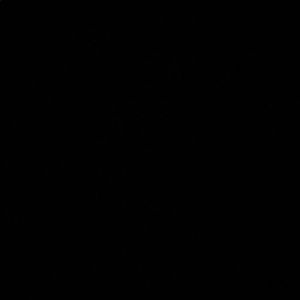 Meet your Posher, Marcus